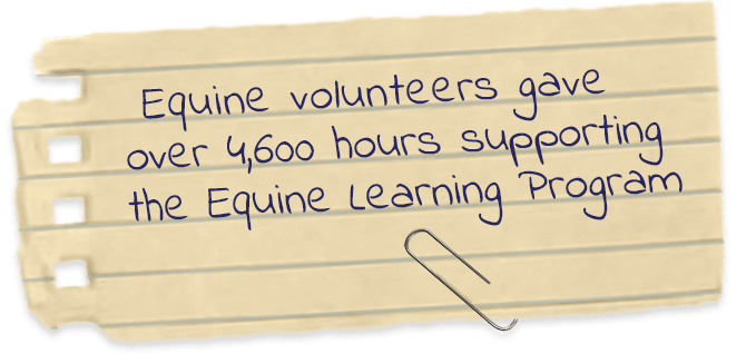 Equine volunteers gave over 4,600 hours supporting the equine learning program