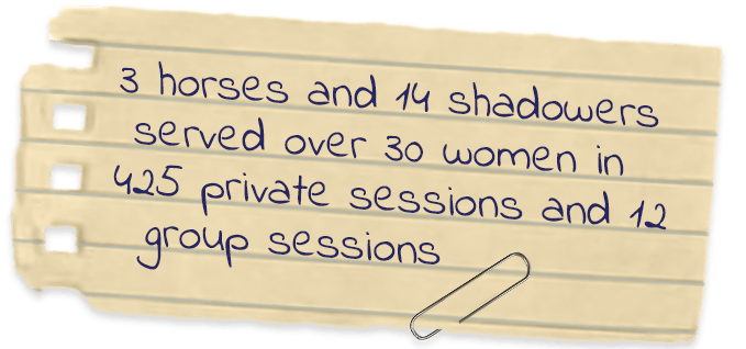 3 horses and 14 shadowers served over 30 women in 425 private sessions and 12 group sessions