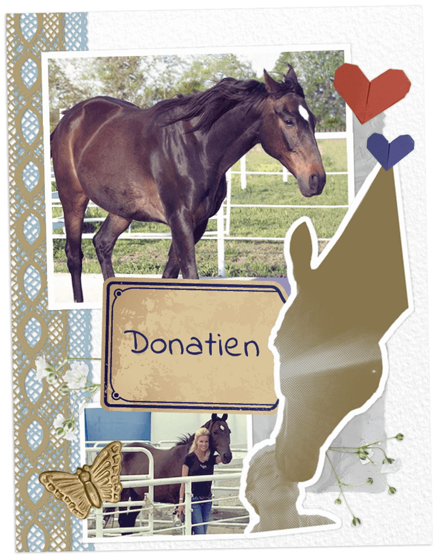 Don scrapbook page