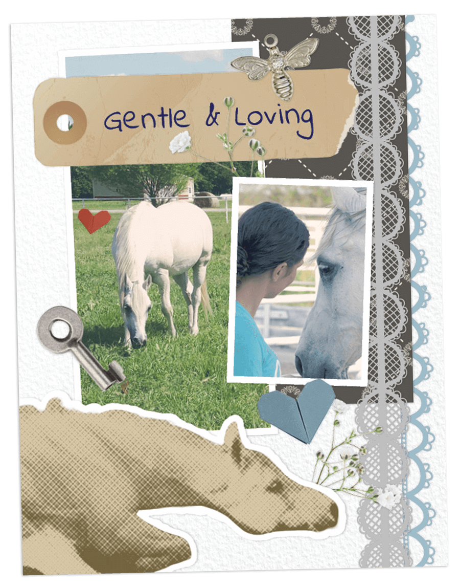 GoBoy scrapbook page