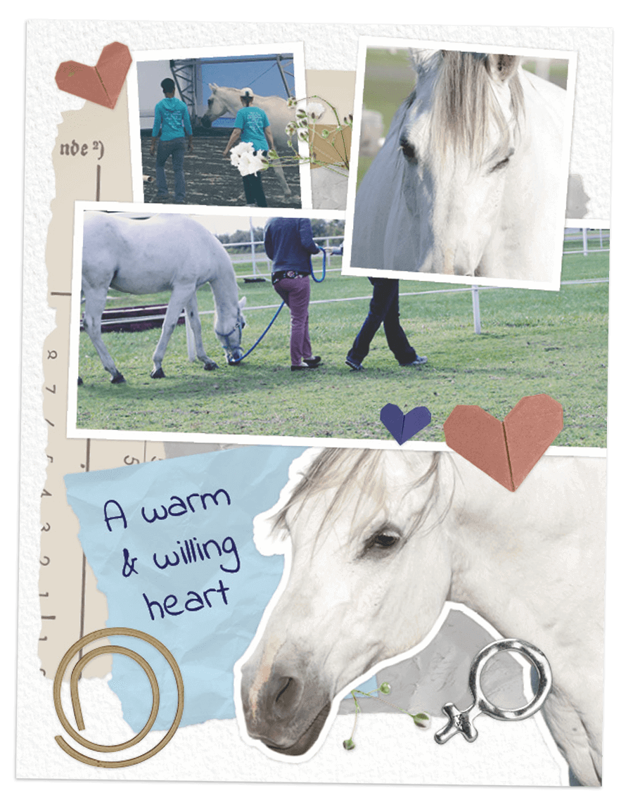 GoBoy scrapbook page