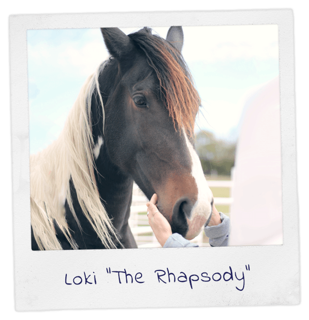 Polaroid photo of Loki, A.K.A "The Rhapsody"