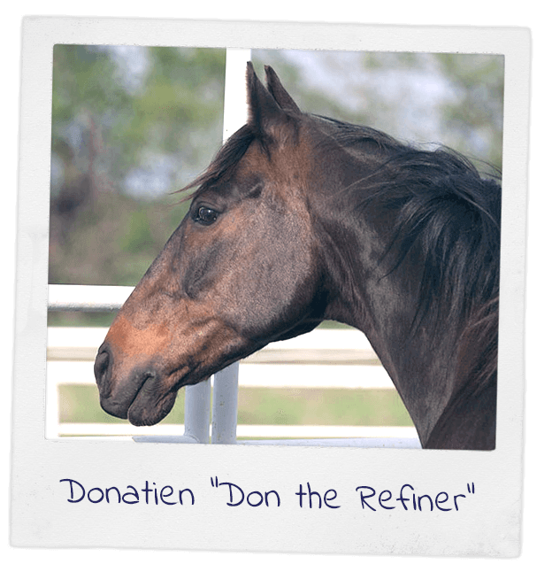 Polaroid photo of Donatien, A.K.A. Don the Refiner