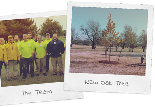 2 polaroid photos with handwritten labels: The Team and New Oak Tree