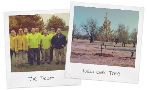 2 polaroid photos with handwritten labels: The Team and New oak tree