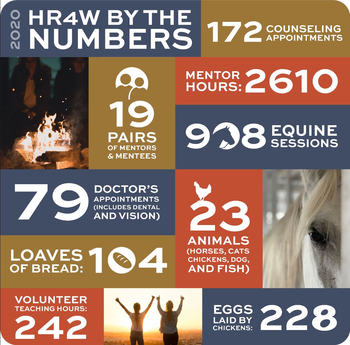 collage of numbers reporting Hope Ranch's activity in 2020