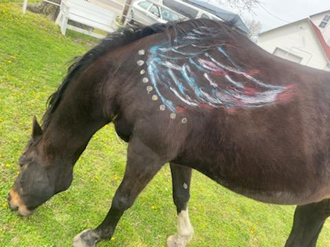 Angel wings drawn on our horse, Don.