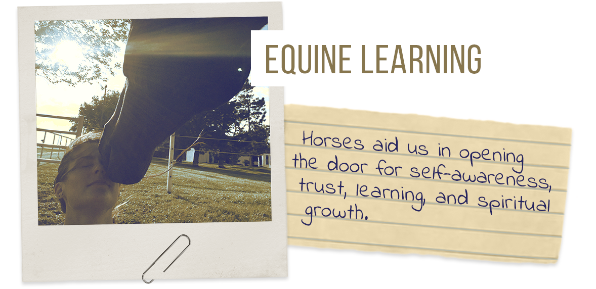 Equine Learning: Horses aid us in opening the door for self-awareness, trust, learning, and spiritual growth.