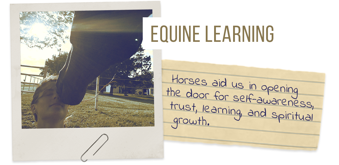 Equine Learning: Horses aid us in opening the door for self-awareness, trust, learning, and spiritual growth.