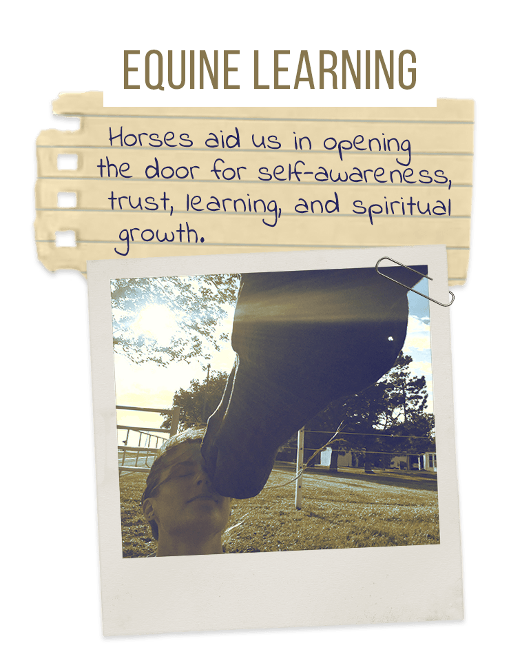 Equine Learning: Horses aid us in opening the door for self-awareness, trust, learning, and spiritual growth.